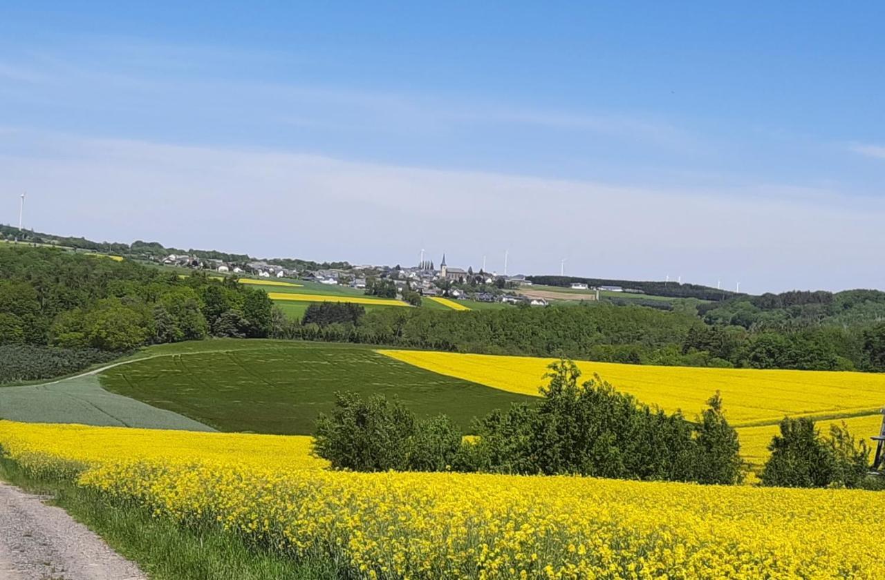 Kleine-Eifel-Auszeit Apartment Hambuch Екстериор снимка